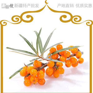 【沙棘花】沙棘花价格/图片_沙棘花批发/采购_沙棘花厂家/供应商